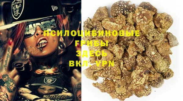 соль ск Аркадак