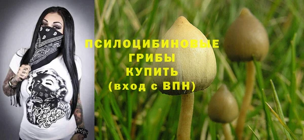 соль ск Аркадак