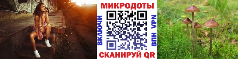 Галлюциногенные грибы мухоморы  Тында 